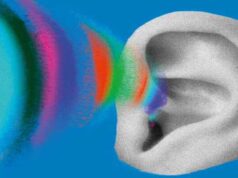 Plakat spektaklu ''Ucho'' w Teatrze Guliwer