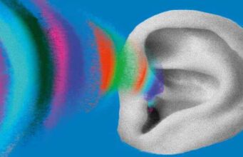 Plakat spektaklu ''Ucho'' w Teatrze Guliwer