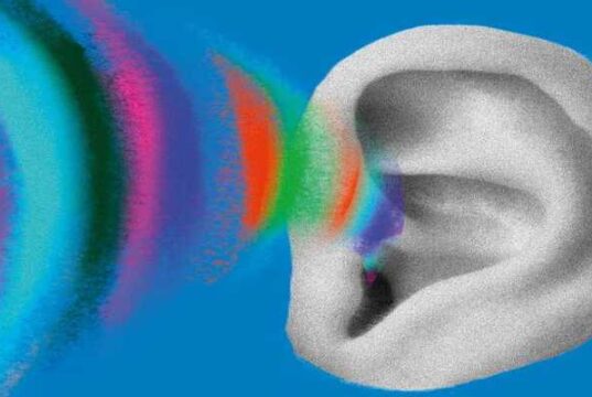 Plakat spektaklu ''Ucho'' w Teatrze Guliwer